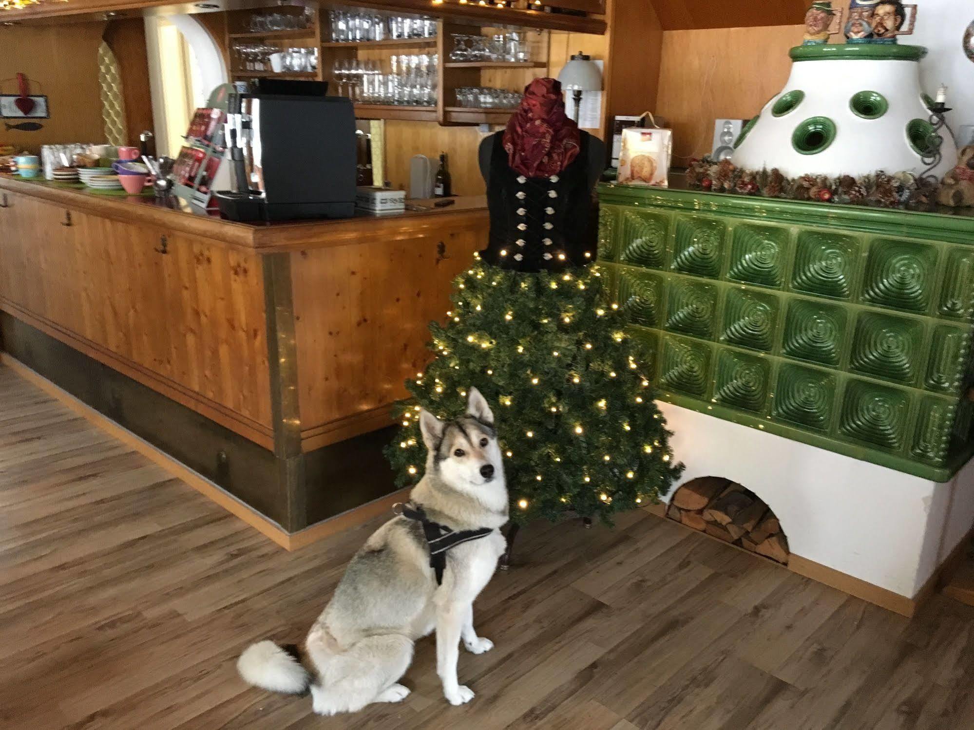 Hotel Pension Schwansee 施万高 外观 照片